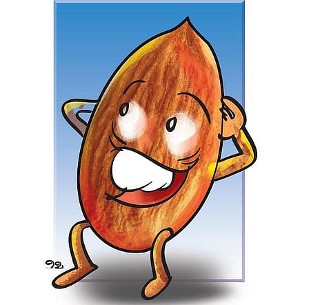 ருசியியல் சில குறிப்புகள் 26: பாக்கெட் பாக்கெட்டாக பாதாம்!