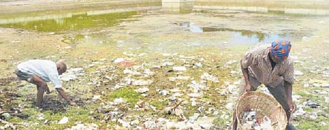 தி இந்து செய்தி எதிரொலி: கோயில் குளத்தில் குப்பைகள் அகற்றம்