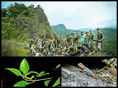 கானுலா: கருநாகத்தைத் தேடிய இரவு