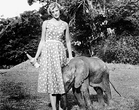 வான் மண் பெண் 11: ஏரிக்காகப் போராடிய காட்டுப்பூ!