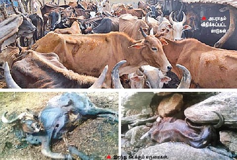 தானாய் விழுந்துச்சா.. தள்ளிவிட்டாங்களா?