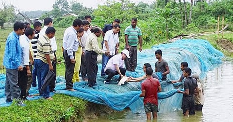 மீன் வளம் பற்றி படிக்கலாமா?