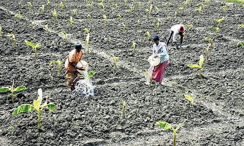 நிலத்தடி நீரைச் சரியாகப் பயன்படுத்துகிறோமா?