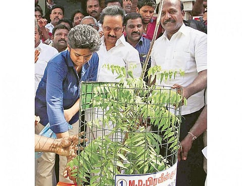 தமிழகத்தை பசுமையாக்க மரக்கன்றுகள் நடுவோம்﻿: திமுக செயல் தலைவர் மு.க.ஸ்டாலின் அழைப்பு﻿