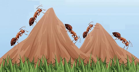 உலகின் முதல் விவசாயி!