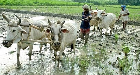 மும்பையில் விவசாய நிலம் கிடையாது; ஆனால் 694 விவசாயிகள்!-  குழப்பத்தில் மஹாராஷ்டிரா முதல்வர்