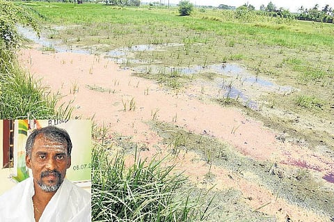 கதிராமங்கலத்தில் பாதிக்கப்பட்ட வயலில் 2 ஆண்டுகளாக கச்சா எண்ணெய் கசிவு?﻿ - விளைச்சல் பாதிப்பால் தெரியவந்தது என்கிறார் வயலின் உரிமையாளர்﻿﻿