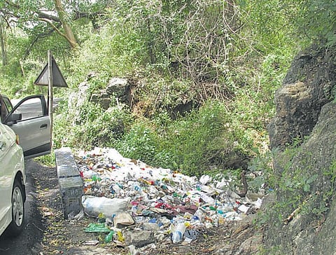 பாதுகாக்கப்பட்ட வனப்பகுதியில் குவியும் பாலிதீன் கழிவுகள்﻿