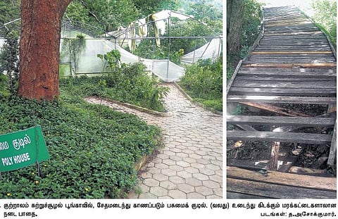 பராமரிப்பின்றி பொலிவிழந்த குற்றாலம் சுற்றுச்சூழல் பூங்கா: சுற்றுலா பயணிகள் வேதனை