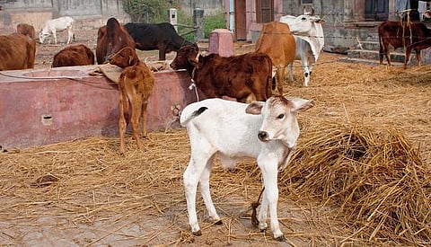 தொட்டனைத்து ஊறும் அமிழ்தம் 41: பண்ணைக் கூறுகளின் பண்பு