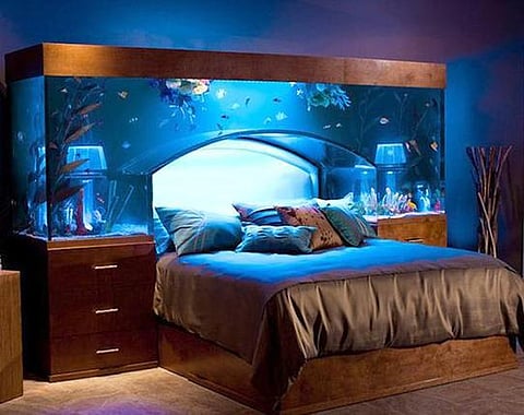 வீட்டுக்குள் ஒரு கடல் அலங்காரம்!