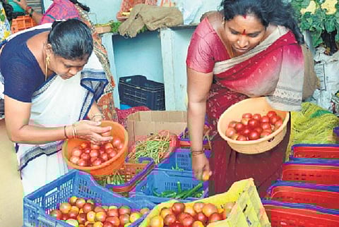 வெளிச்சந்தையில் விலை உயர்வை கட்டுப்படுத்த﻿ பண்ணை பசுமை கடைகளில் தக்காளி கிலோ ரூ.66-க்கு விற்பனை﻿