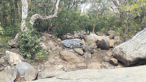 வரலாறு காணாத வறட்சி காரணமாக﻿ சதுரகிரி மலையில் கடும் தண்ணீர் தட்டுப்பாடு﻿: இரவில் தங்குவதை தவிர்க்க பக்தர்களுக்கு வேண்டுகோள்﻿