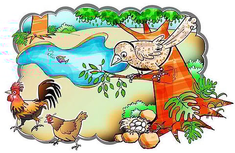 கதை: மூக்கு உடைந்த குருவி!