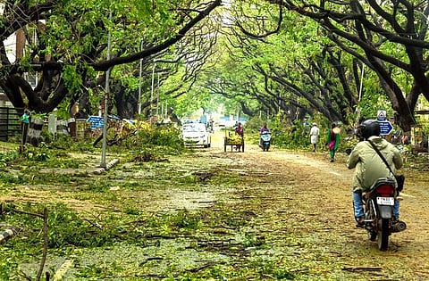 இறைமை இயற்கை 09: உயிர் வளர்க்கும் காற்று