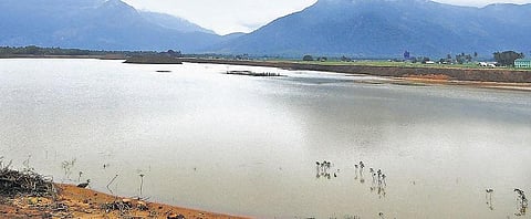 சிறுதுளி அமைப்பு மூலம்﻿ தூர்வாரப்பட்ட குளங்களில் நீர் கொள்ளளவு அதிகரிப்பு﻿