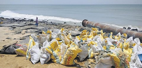 அதிகளவில் கழிவுநீர் குப்பைகள் சேர்ந்ததால் புதுச்சேரி துறைமுக தூர்வாரும் பணியில் தொய்வு: குப்பைகளை அகற்றும் பணி மும்முரம்﻿