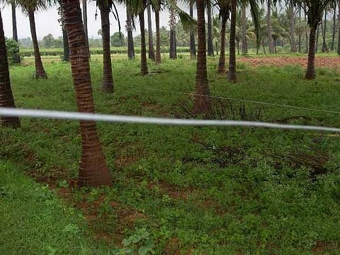 யானைகளின் வருகை 8: மோதிக்கொண்ட ரயில்வே - வனத்துறையினர்