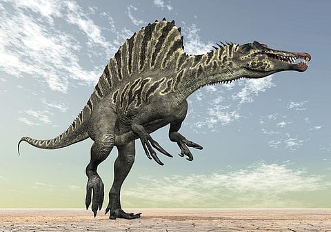 பூமி என்னும் சொர்க்கம்: டைனோசர்கள் அழிந்தது ஏன்?