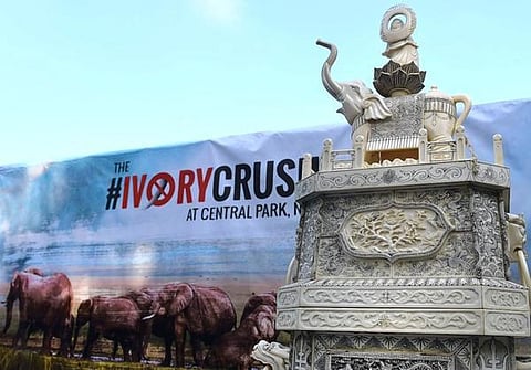 ஒரு நிமிடக் கட்டுரை: முக்கியம் ஆபரணமல்ல, யானைதான்!