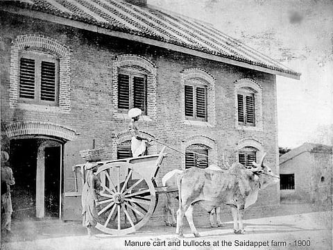 சென்னைக்குப் பிறந்தநாள்: மதராஸுக்கு உயிர் தந்தவர்கள்!