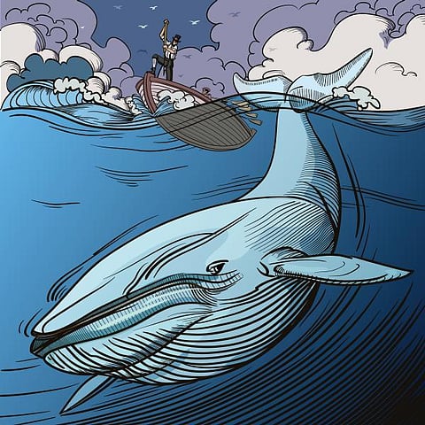 பூமி என்னும் சொர்க்கம் 7: கடலுக்குச் சென்ற திமிங்கிலம்