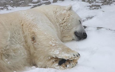 பூமி என்னும் சொர்க்கம் 8: நீண்ட தூக்கம்!