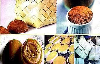 ஒவ்வொரு பனையும் ஒரு தொழிற்சாலை!