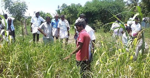 இந்த லாபம் ‘இயற்கை’யானது!