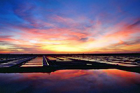 ஒளிரும் கண்கள் 1: கேமராவுக்குக் காத்திருந்த கணங்கள்