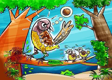 கதை: குருவி வயிற்றுக்குள் மரம்!