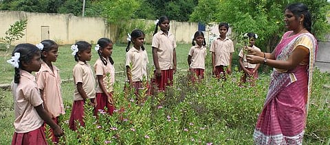 ஆச்சரியப் பள்ளி: கிராமத்தோடு சேர்ந்து வளரும் நெடுவாசல் அரசு தொடக்கப் பள்ளி