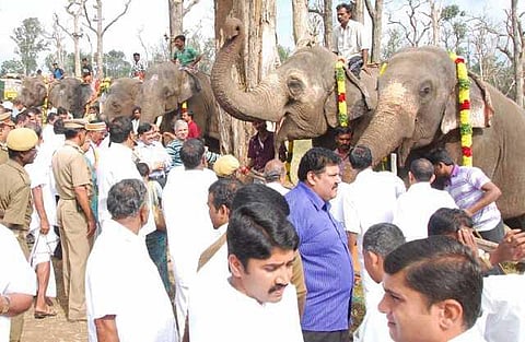 யானைகளின் வருகை 61: திரும்பத் திரும்ப எதிர்ப்புகள்!