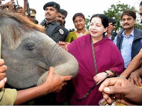 யானைகளின் வருகை 64: ஜெயலலிதாவை முட்டித் தள்ளிய காவேரி!