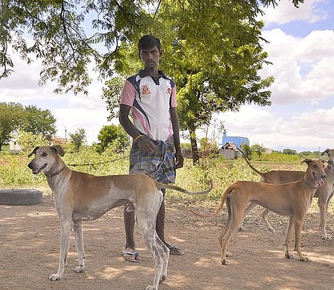 முதல் நண்பன் 06: சிப்பிப்பாறையின் சிறப்பு