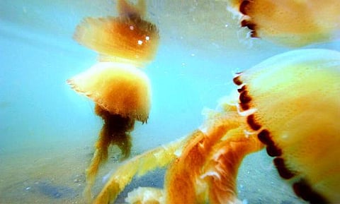 கேமரா அல்ல, கற்பனையே பெரிது