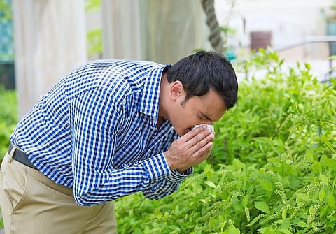 நலம், நலமறிய ஆவல் 06: ஒவ்வாமை தரும் சுவாசப் பிரச்சினை!