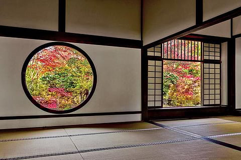 மேல்கிளைப் பறவை ஆகலாம்