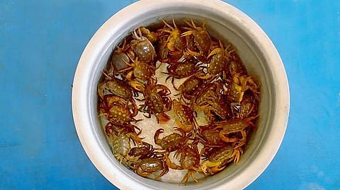 நண்டும் நத்தையும் ஊற…