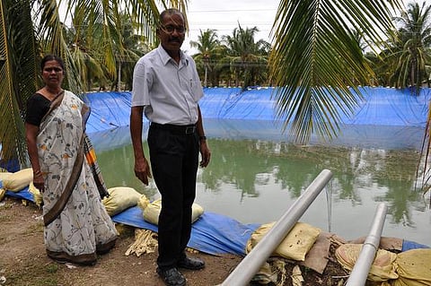 செழுமை தரும் சேமிப்பு! - திருப்பூர் விவசாயியின் புதுமை நீர் மேலாண்மை