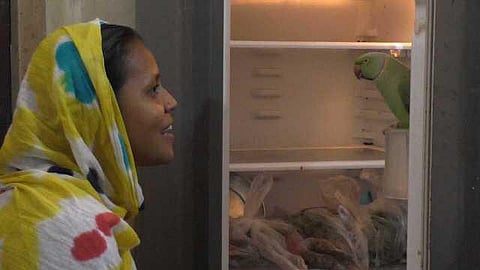 பாப்பா, பாப்பா ஃபிரிட்ஜை திற: இப்படியும் அடைக்கலமான ஒரு பாசக்கார கிளி!