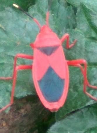 கான்கிரீட் காட்டில் 10: அப்படியென்ன அவசர வேலை?