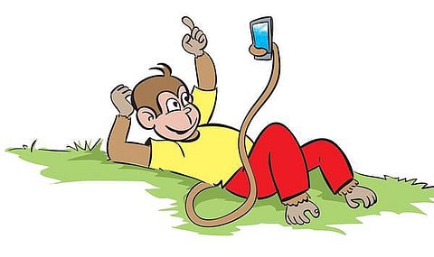 டிங்குவிடம் கேளுங்கள்: வெளவால் ஏன் தலைகீழாகத் தொங்குகிறது?