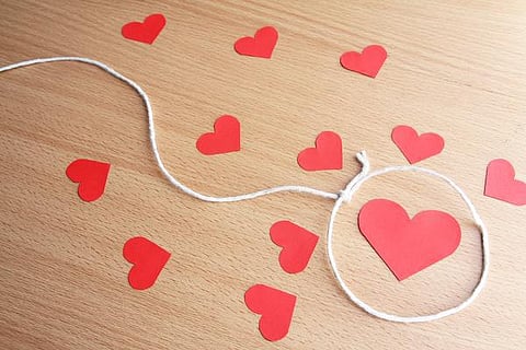 உறவுகளும் அர்த்தங்களும்: சிங்கிள் சிங்கமாகவும் இருக்கலாம்!