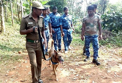 இது முதுமலைக்கு வந்திருக்கும் ‘ஆஃபர்’