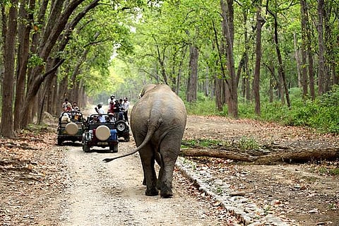 தொட்டனைத்து ஊறும் அமிழ்தம் 61: முல்லை நில வேளாண்மை