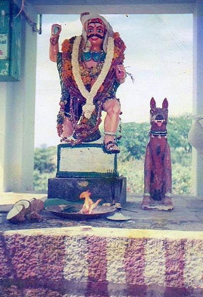 முதல் நண்பன் 13: தமிழர் மரபில் நாய்கள்!