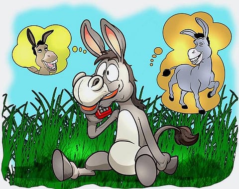 இடம் பொருள் மனிதர் விலங்கு: அன்புள்ள கழுதை