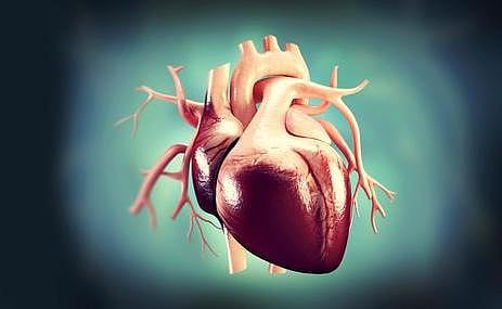 உடல் எனும் இயந்திரம் 2: இதயத்தில் ஓடும் மின்சாரம்!