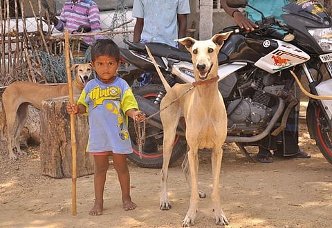 முதல் நண்பன் 15: மறக்கப்படும் வரலாறு!